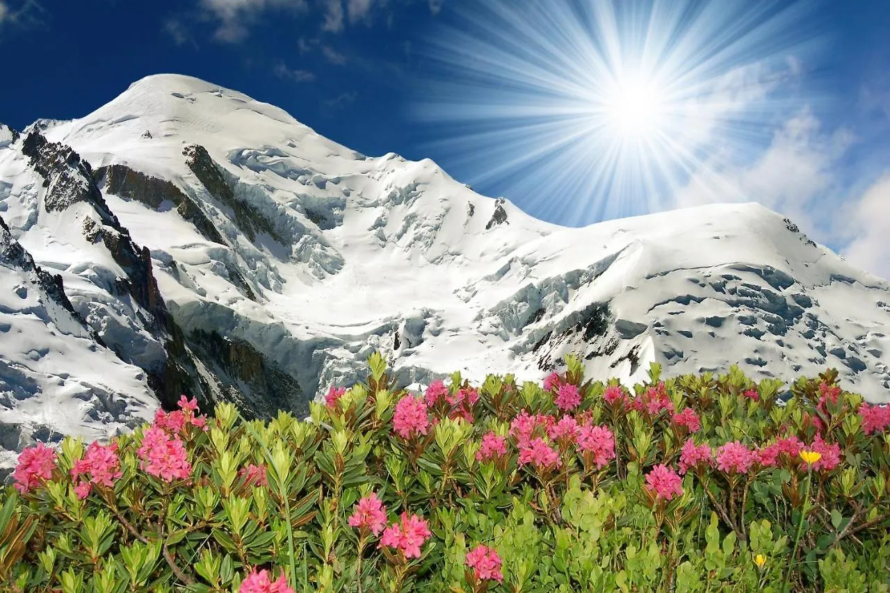 Apartment Residence Le Cristal - Lognan 4 Chamonix France